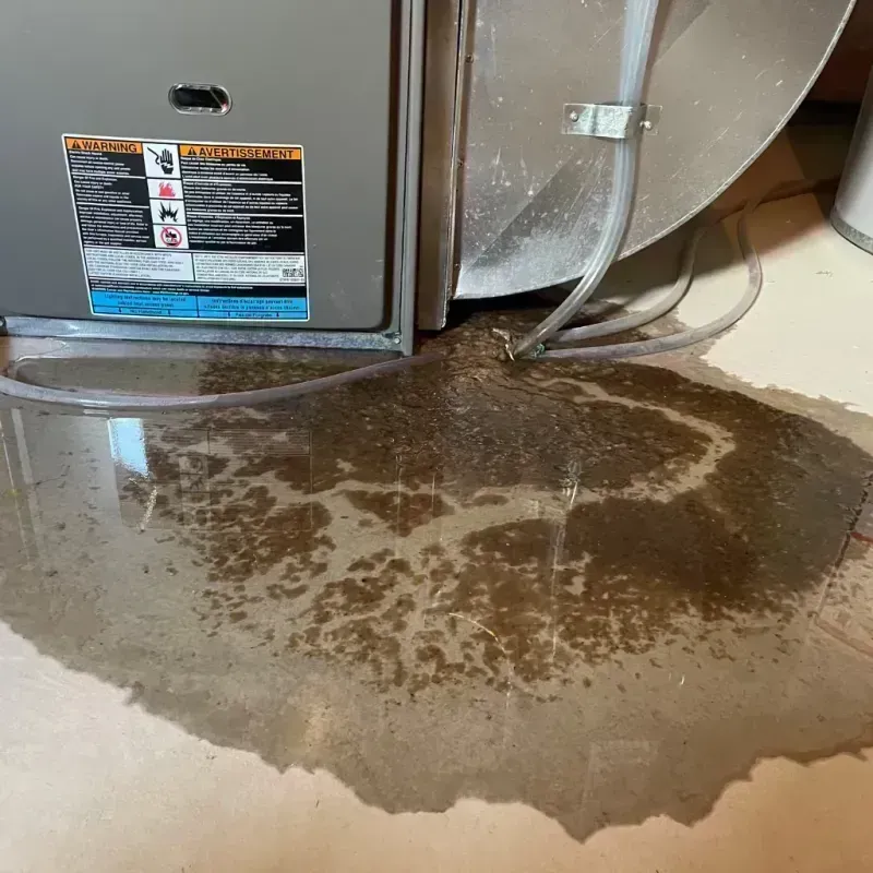 Appliance Leak Cleanup in Ash Grove, MO